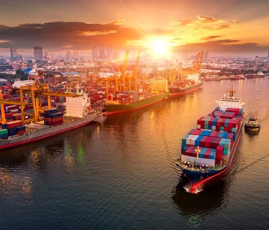 Import & Export